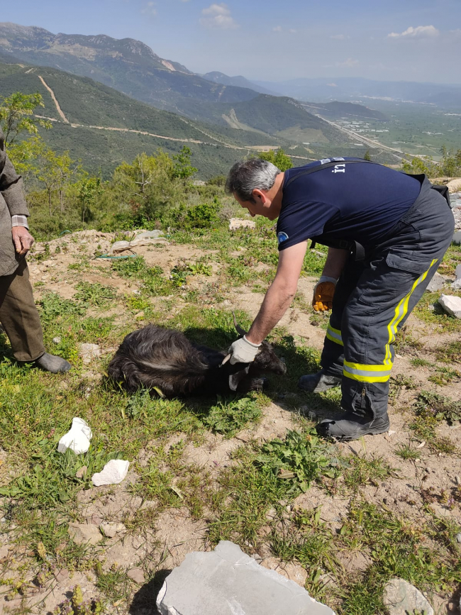 Fotoğraf :TRT HABER